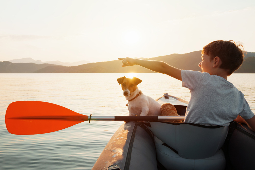 Kayak accessories for dogs